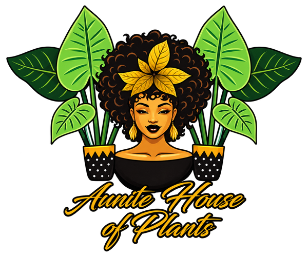 Auntie House of Plants